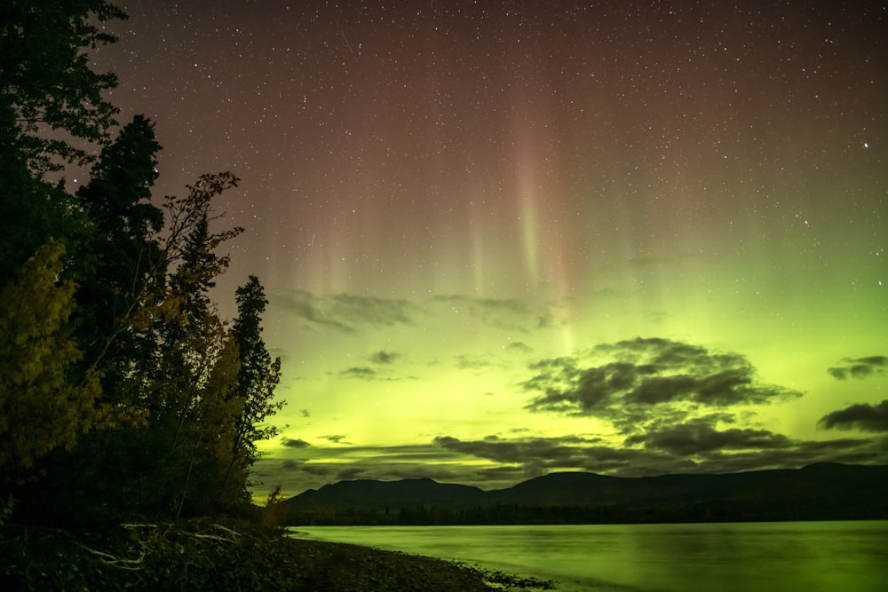 a green and purple aurora over a body of water