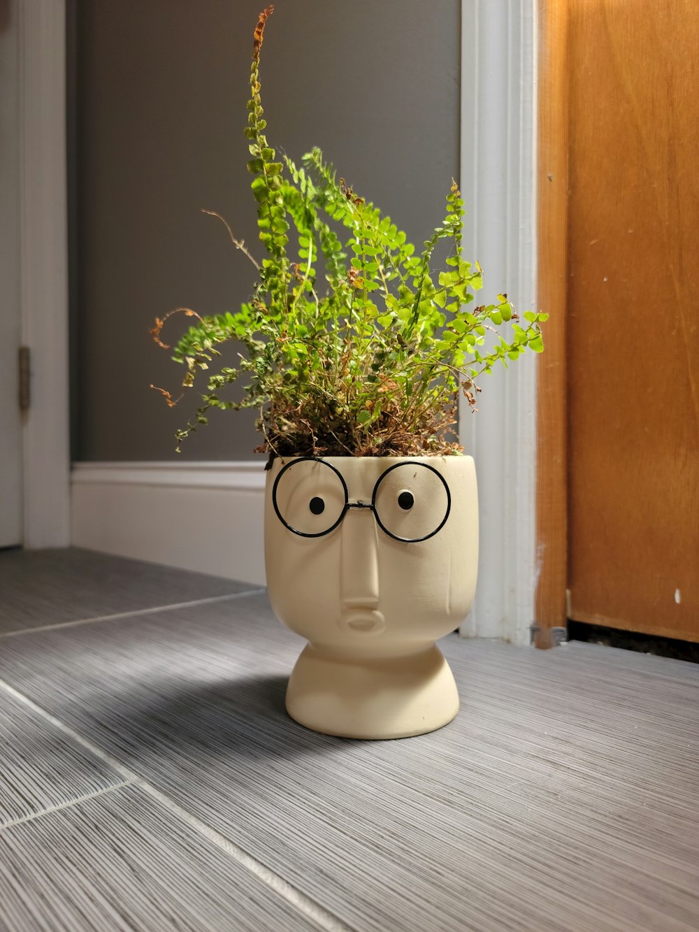 a potted plant with glasses on top of it