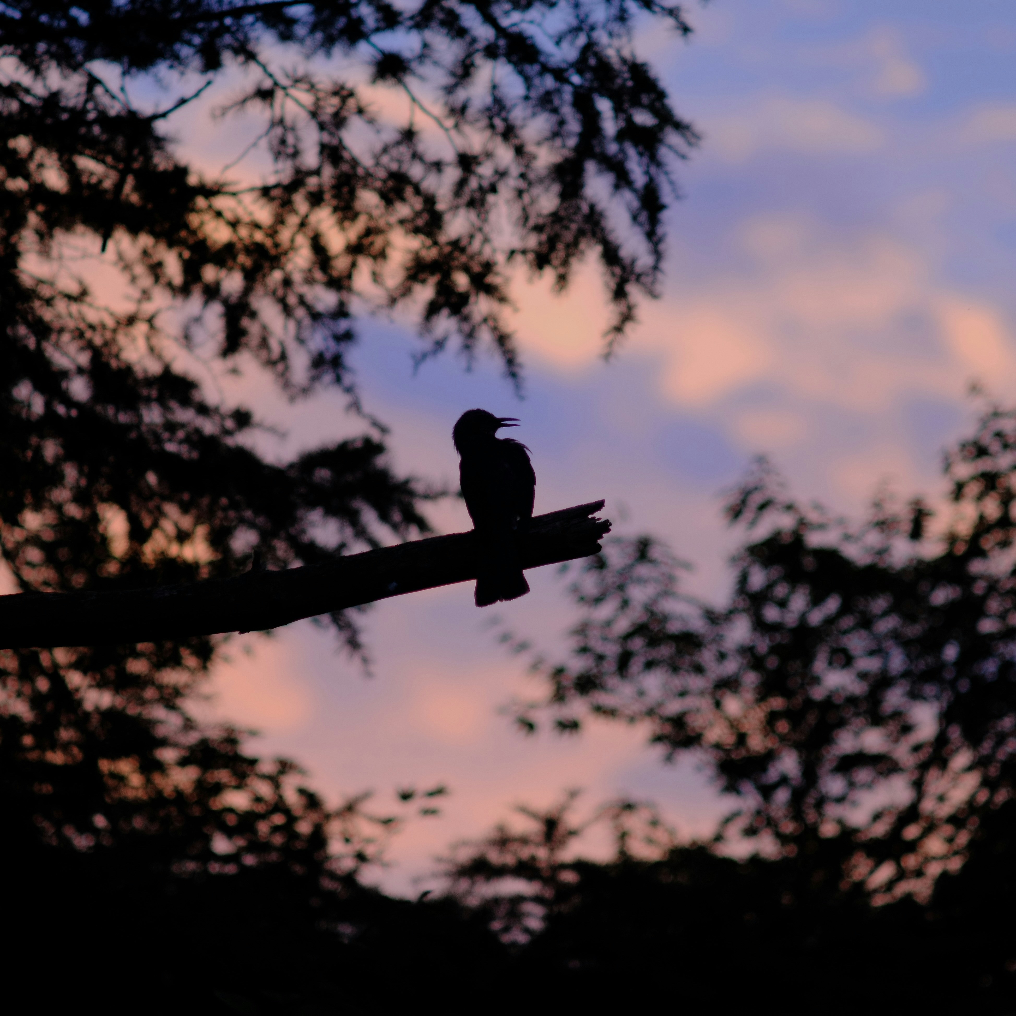 Photo by trevvvvvvvvv