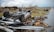 An overturned car lies among debris, surrounded by uprooted trees and broken branches. Other damaged cars and scattered wreckage are visible across a torn landscape under an overcast sky.
