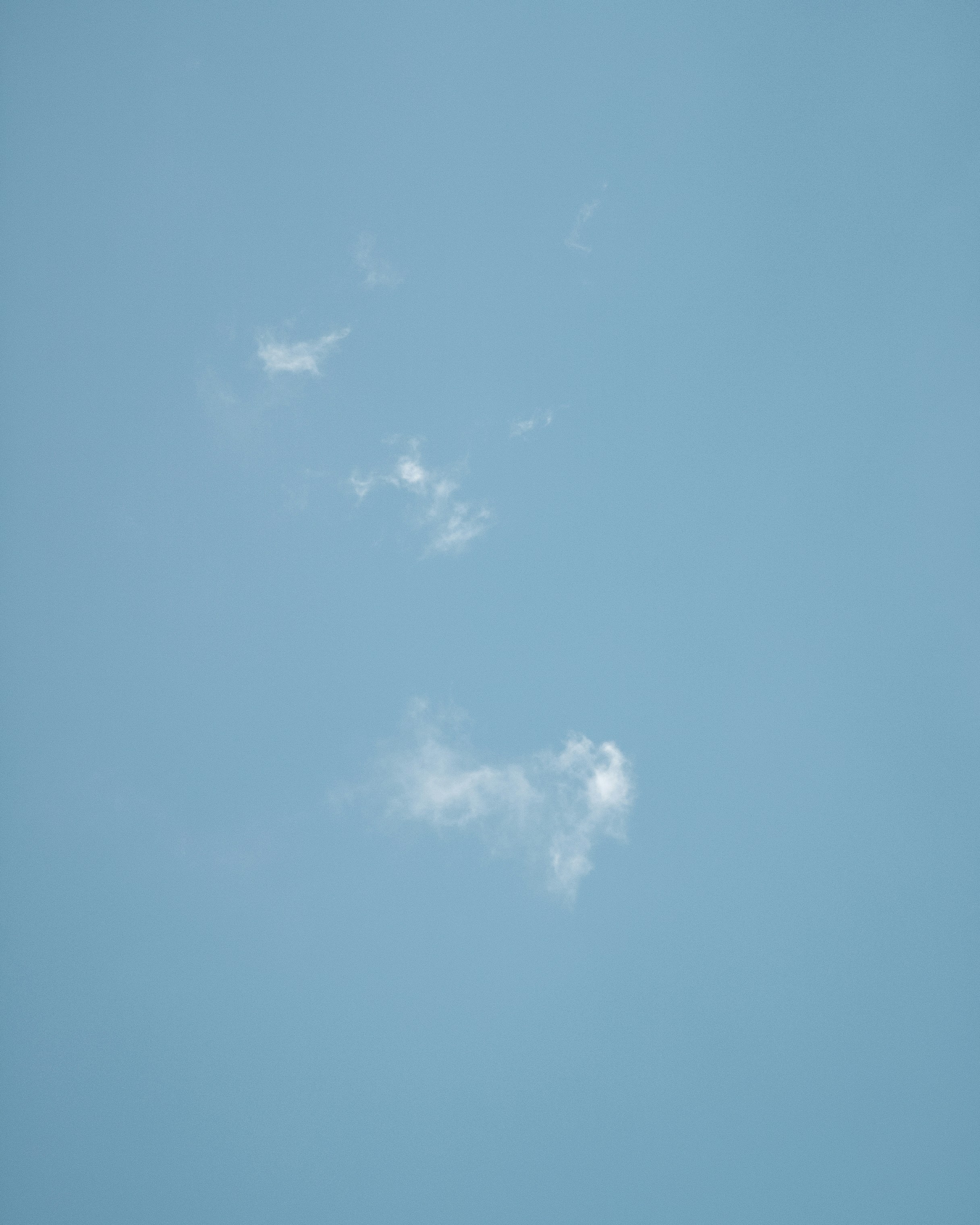 Photo by tiago_f_ferreira