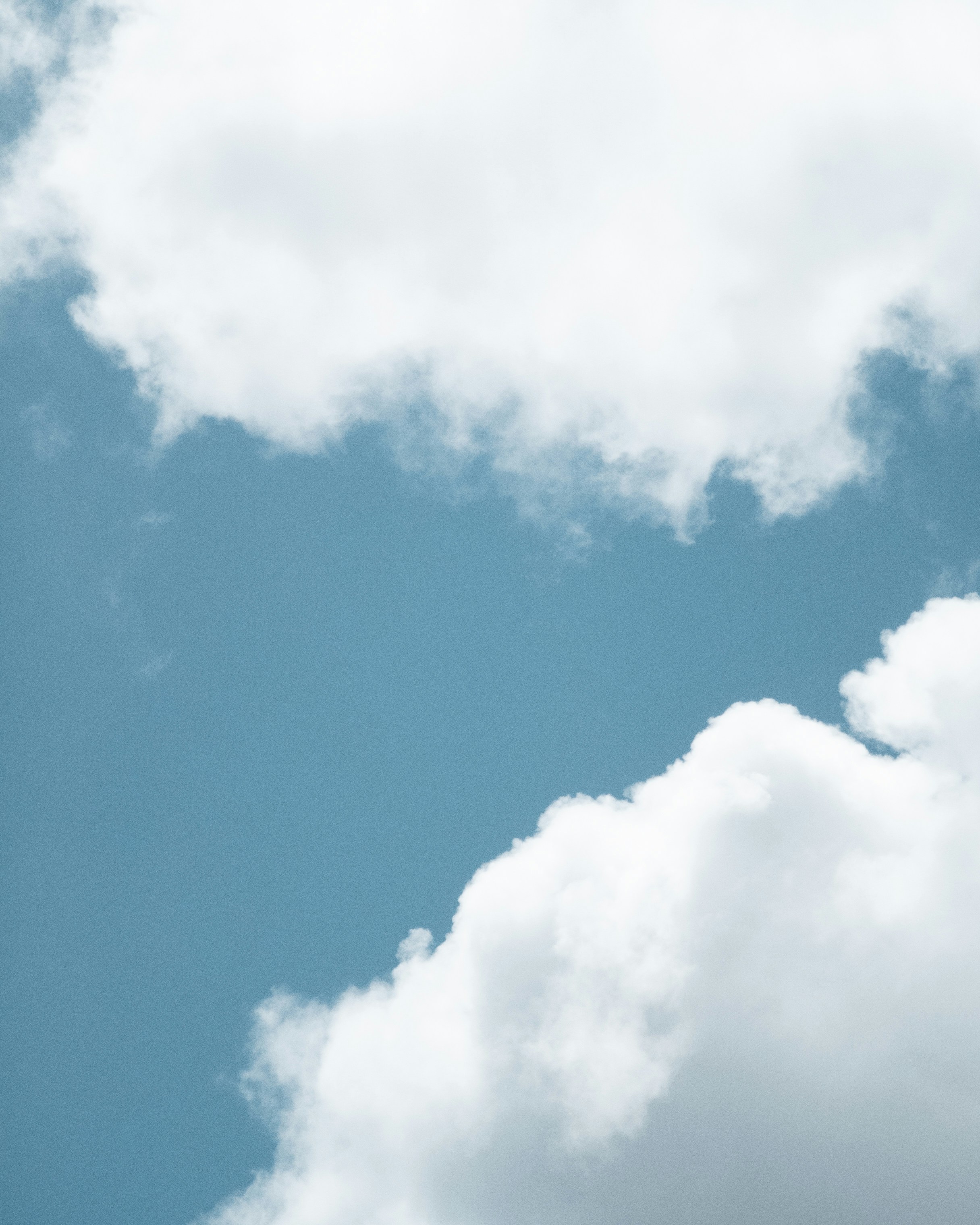 Photo by tiago_f_ferreira