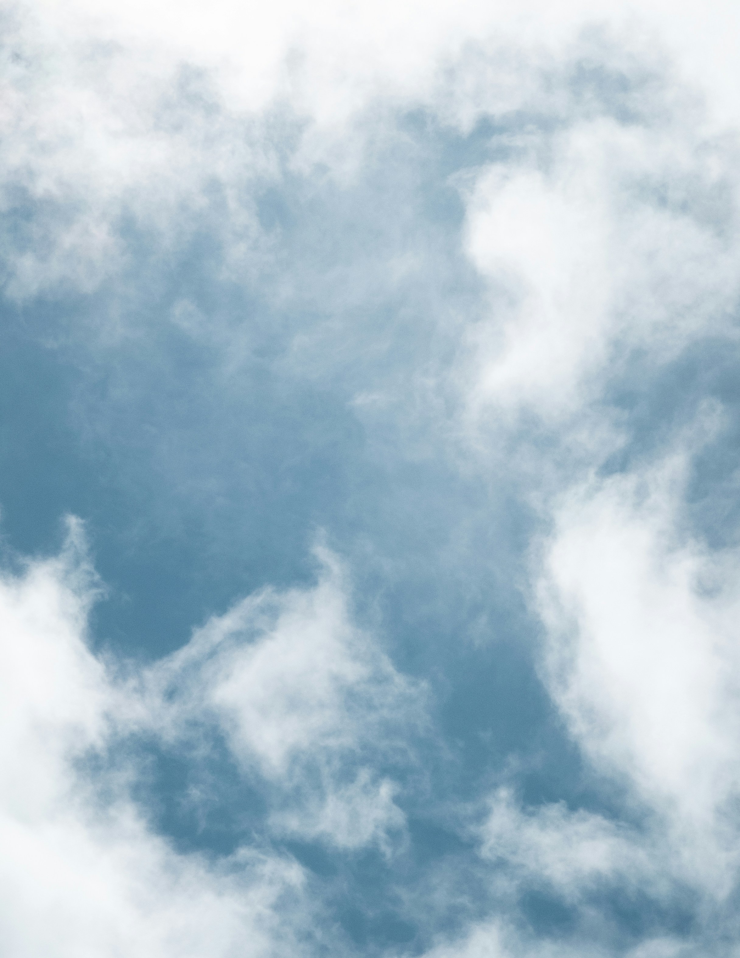 Photo by tiago_f_ferreira