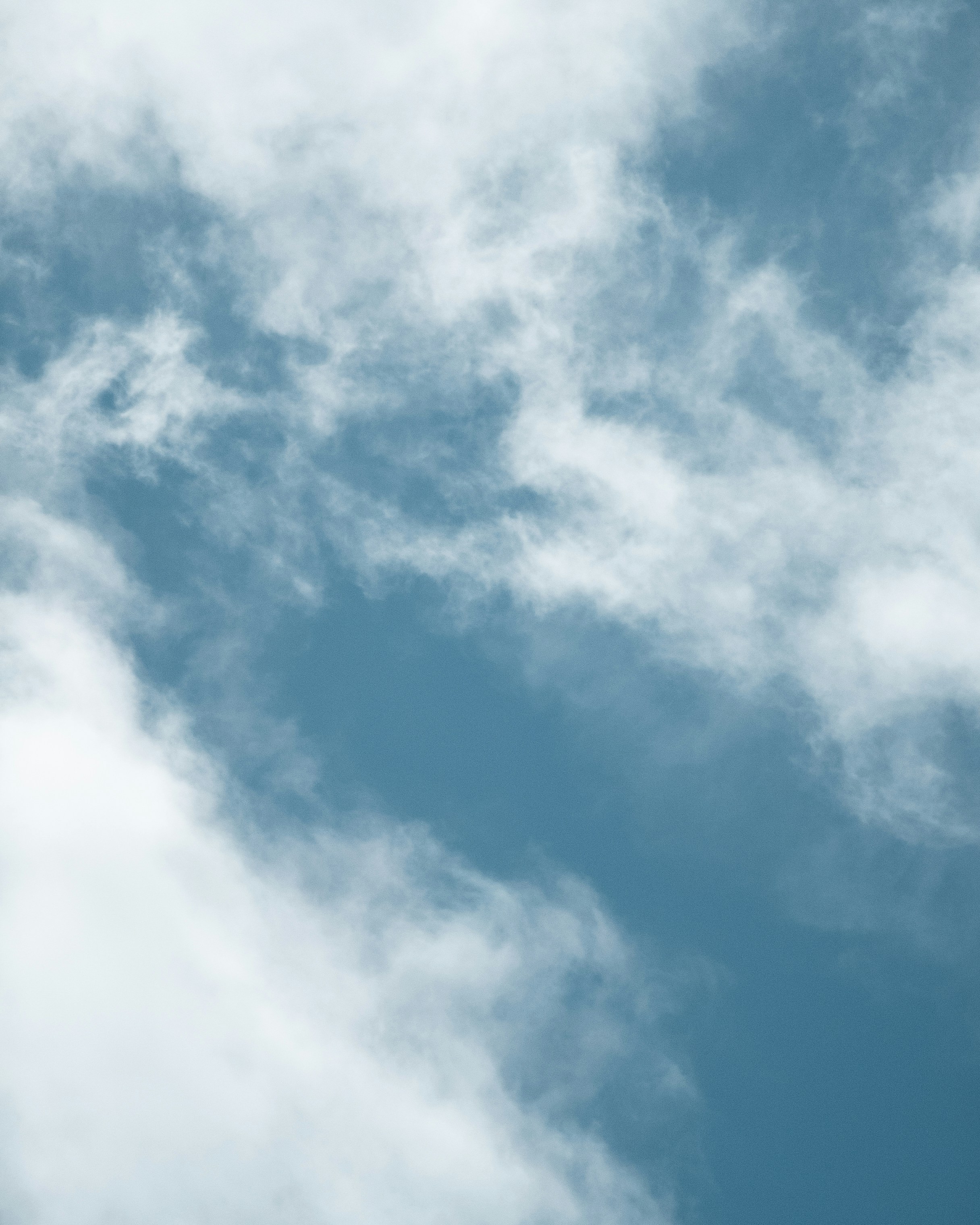 Photo by tiago_f_ferreira