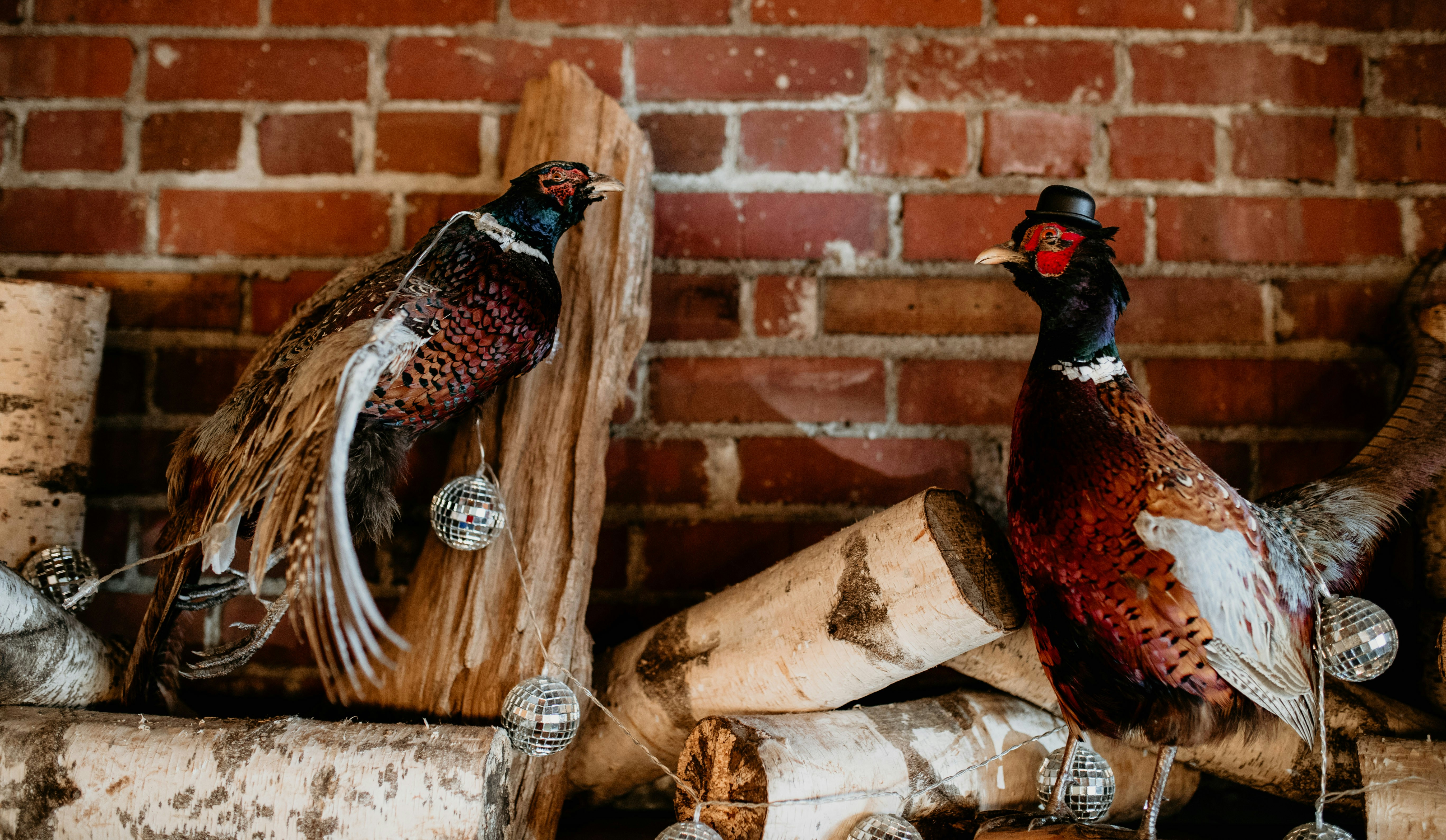 Premium craftsmanship