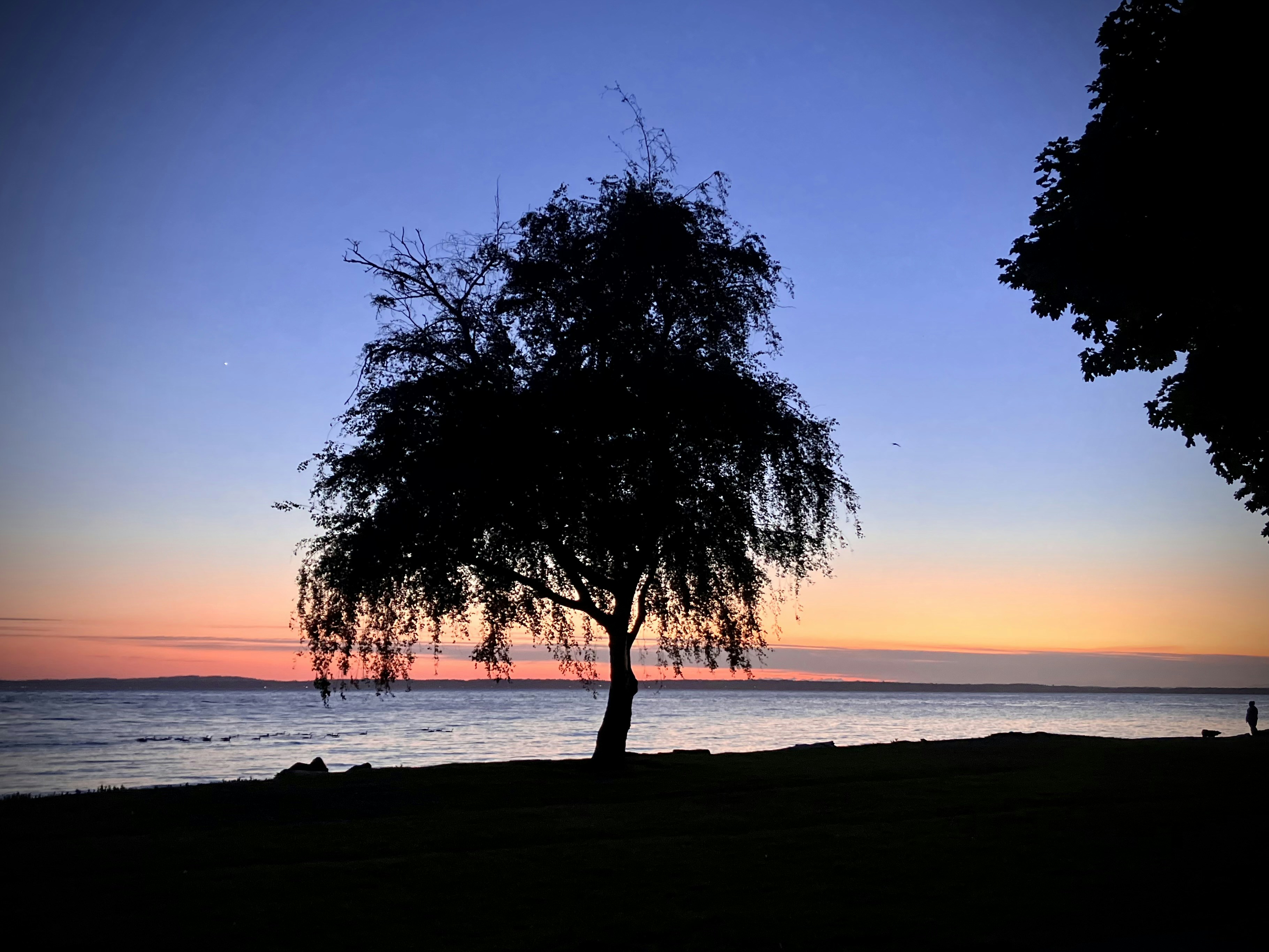 Photo by nikidresden