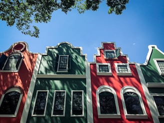 a row of multicolored buildings with a tree in the foreground