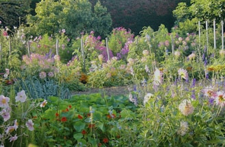 A lush garden filled with a variety of colorful flowers and plants. Tall green plants are interspersed with pink, purple, and white flowers, creating a vibrant and diverse landscape. Dense foliage and a mix of flowering plants add depth to the scene.