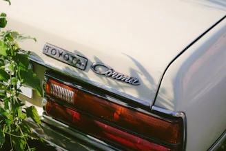 Graph showing predicted total cost of ownership for different used car models over five years.