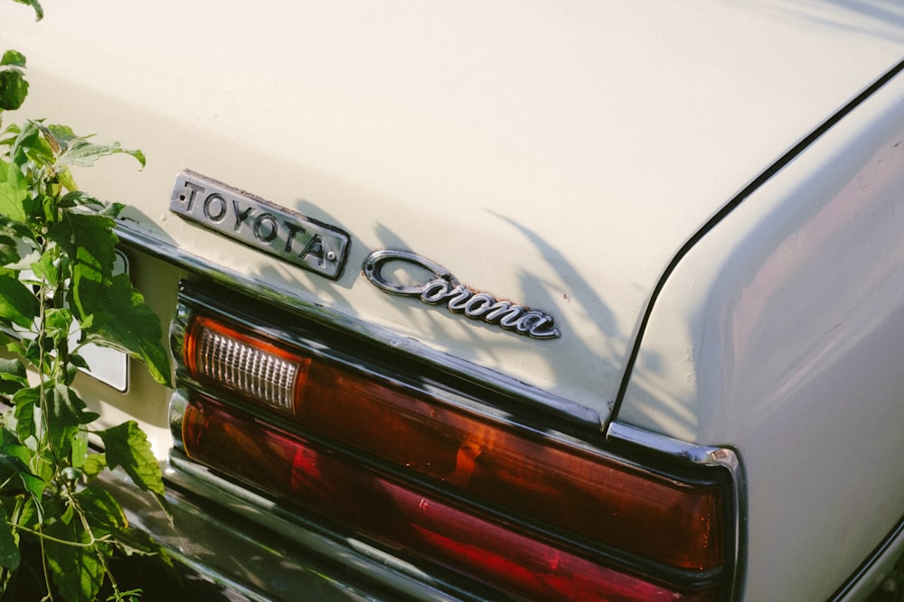 a white car parked next to a bush