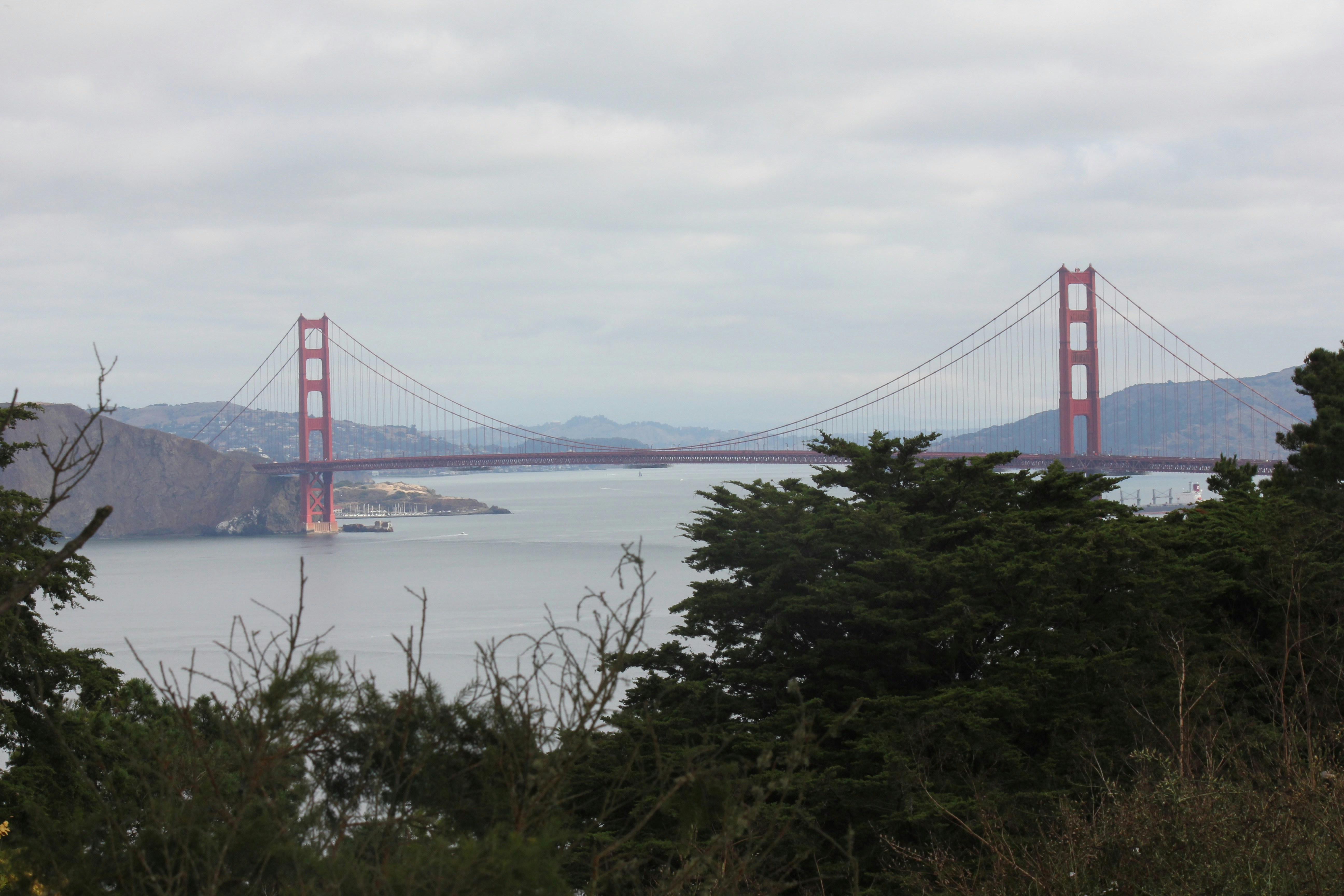 Lands End coastal trail with cypress trees above the Pacific, San Francisco