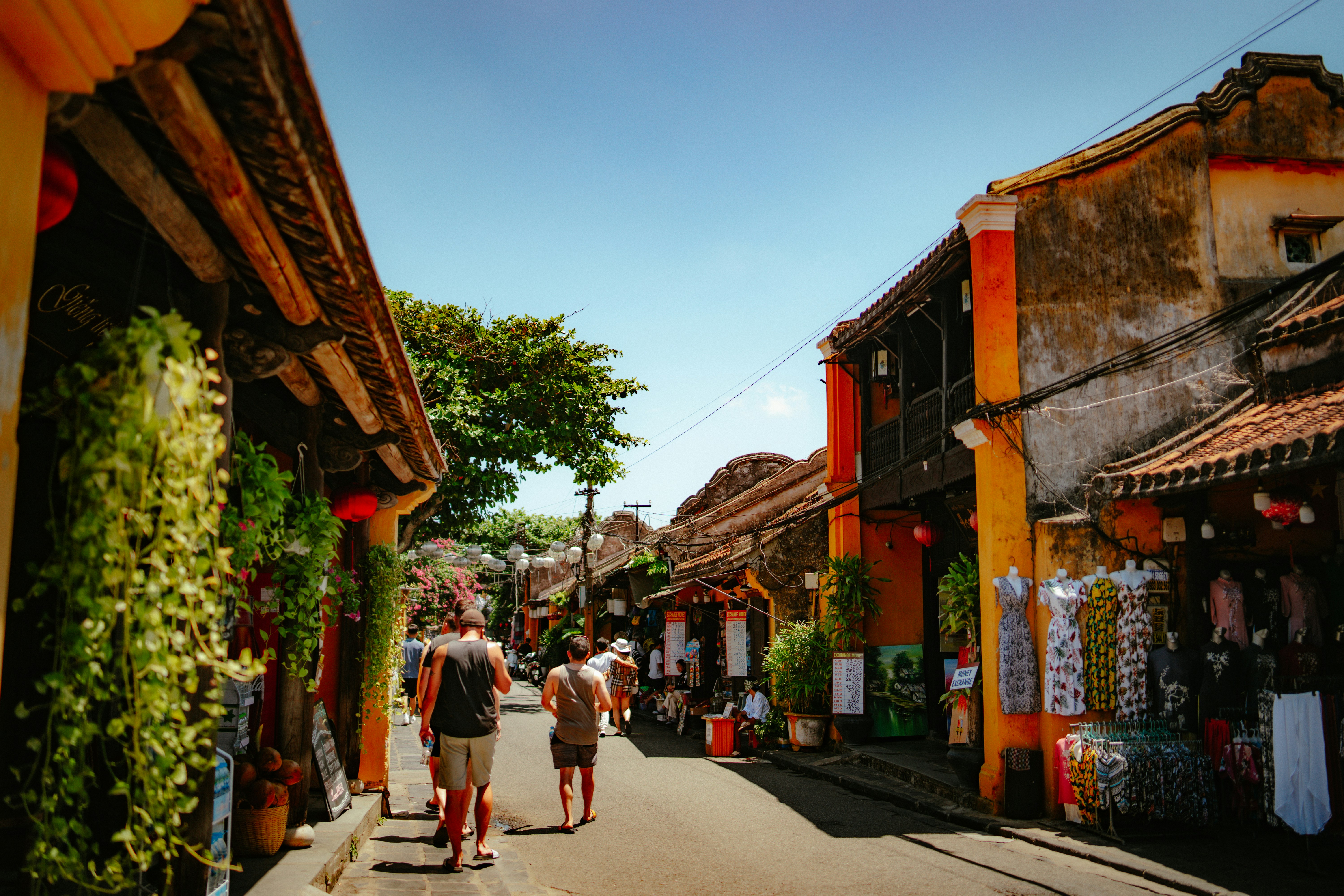 Photo by thinhngtrung