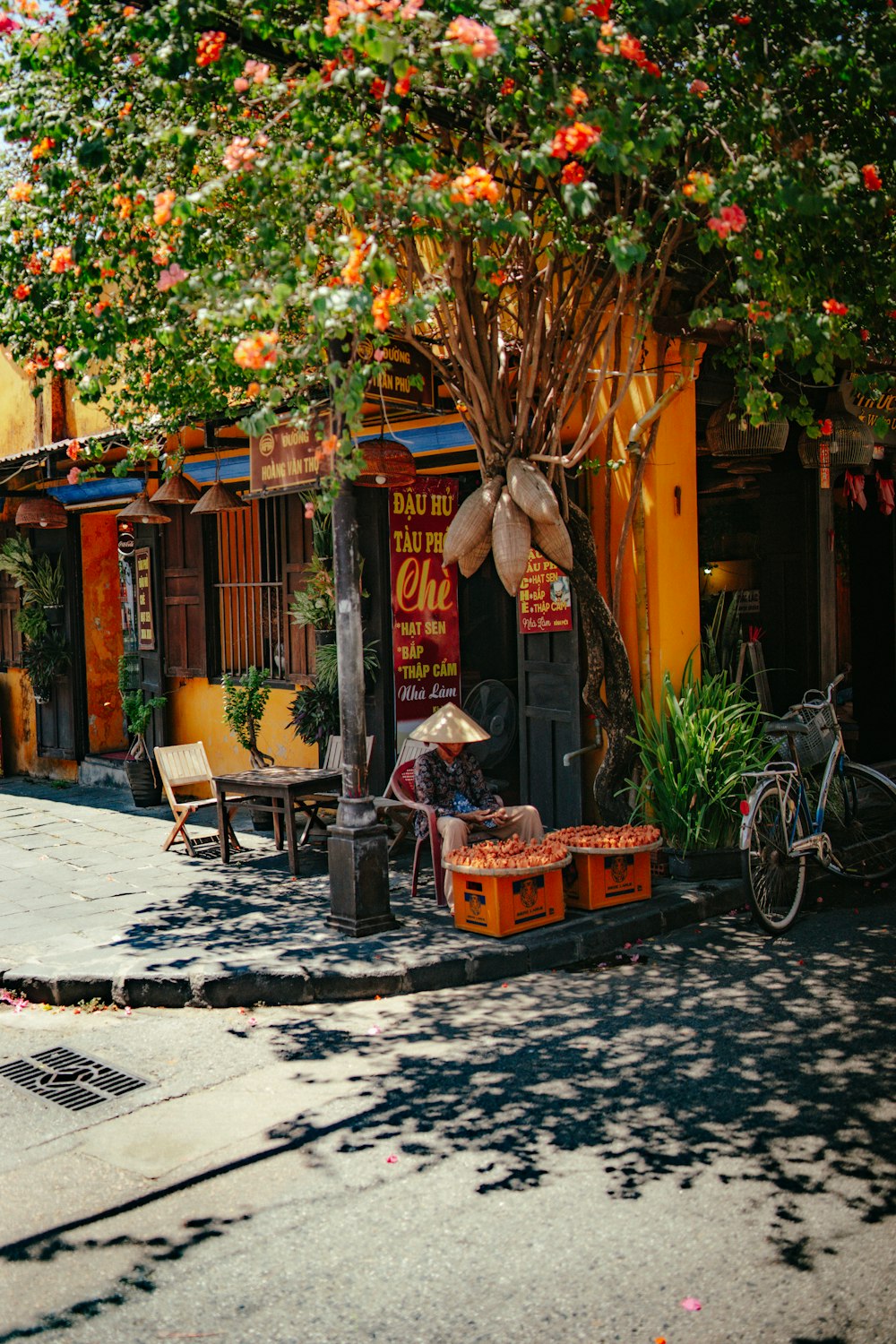 a bike parked next to a tree on a street