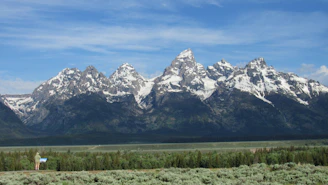 Traveler reviewing a detailed map with a scenic mountain backdrop.