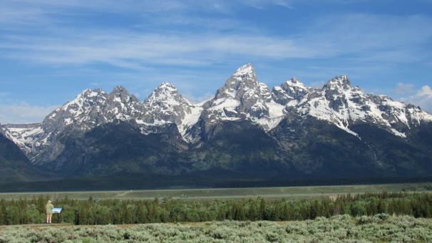 Traveler reviewing a detailed map with a scenic mountain backdrop.