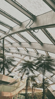 A modern architectural structure with a glass roof and metallic beams, surrounded by tall, lush tropical plants. The interior features an escalator and clean, minimalist design elements, creating a blend of nature and technology.