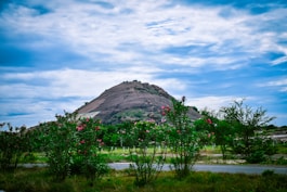 a hill with a large rock in the background