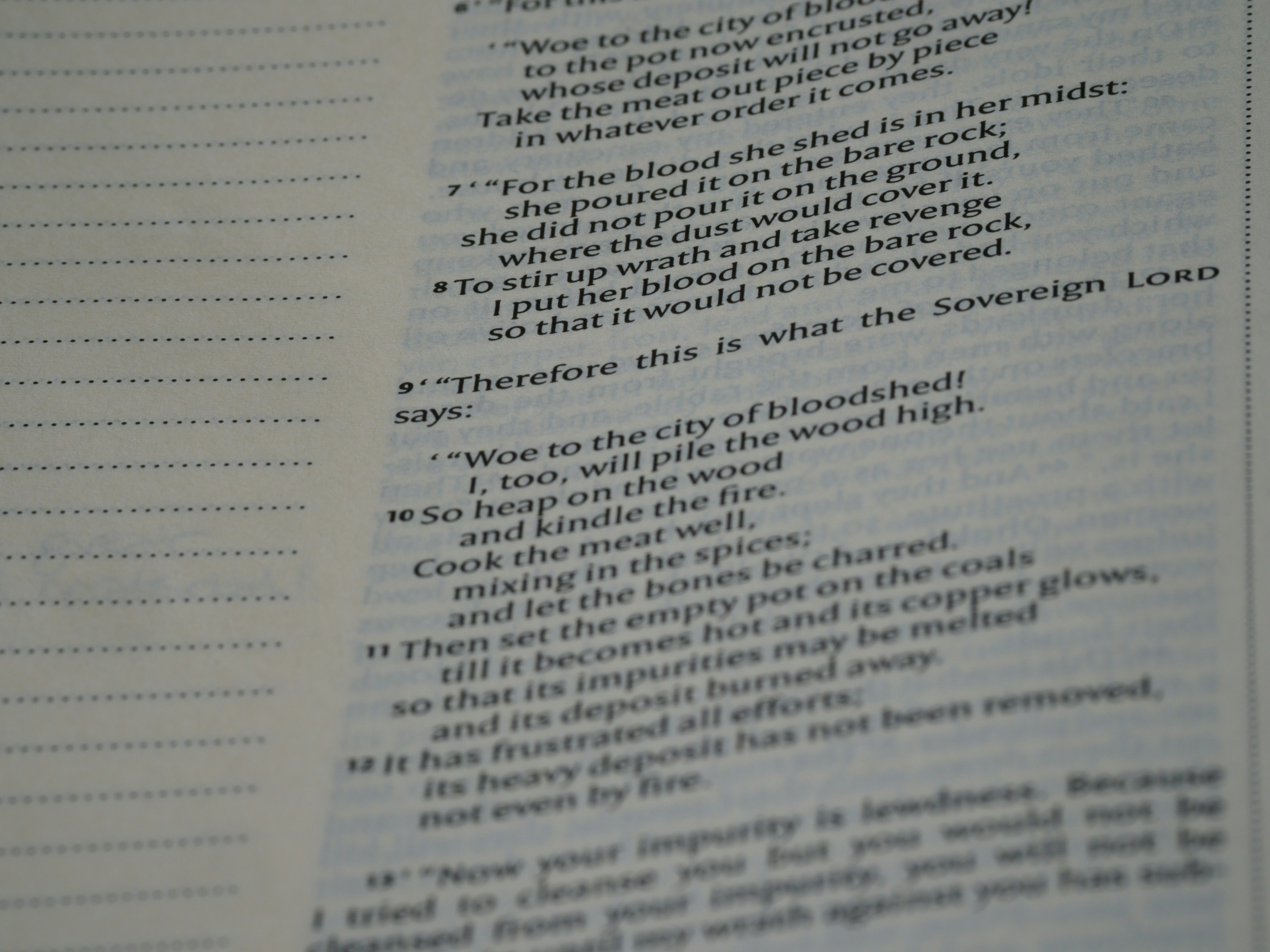 Photo by brett_jordan