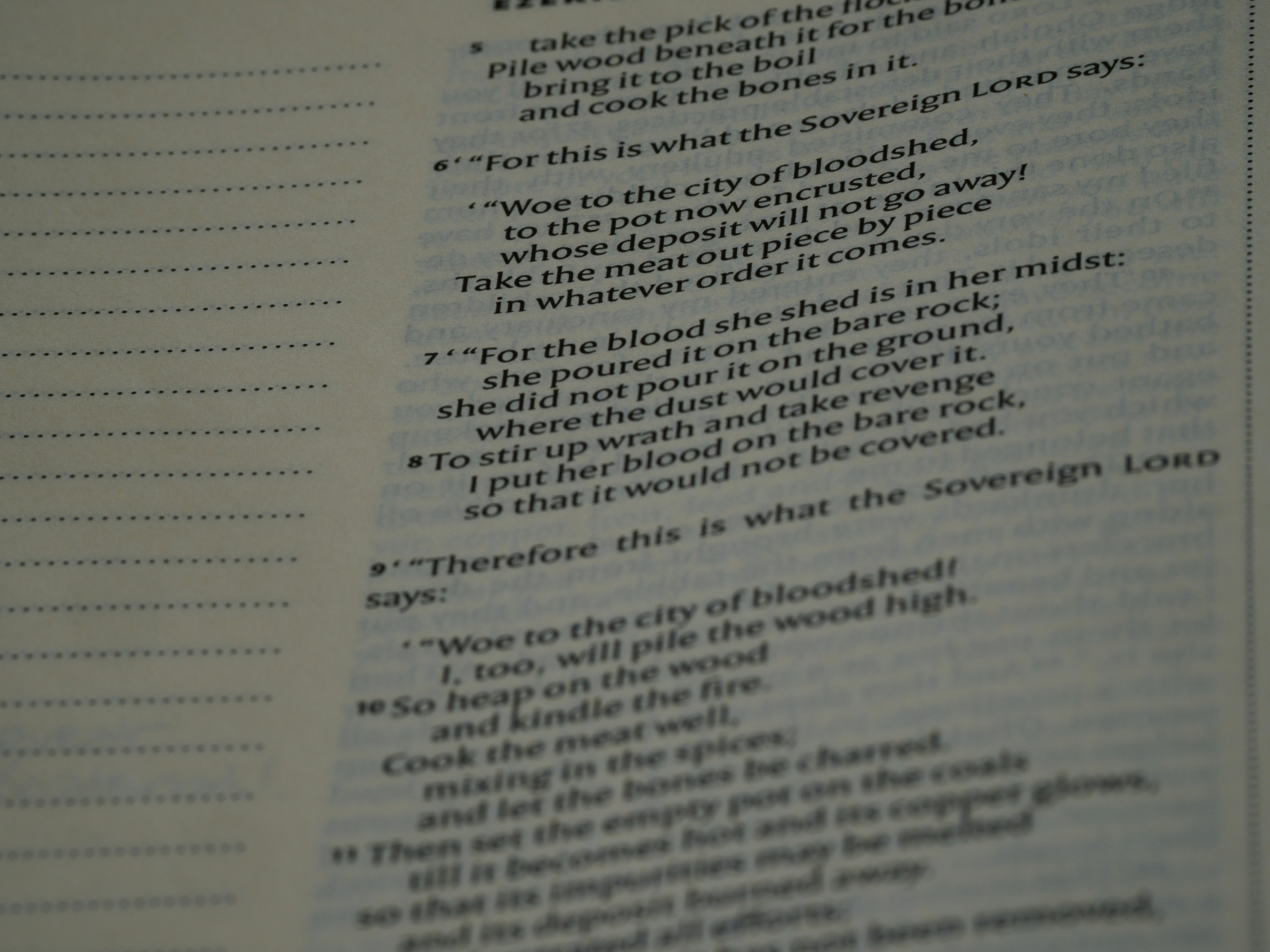 Photo by brett_jordan