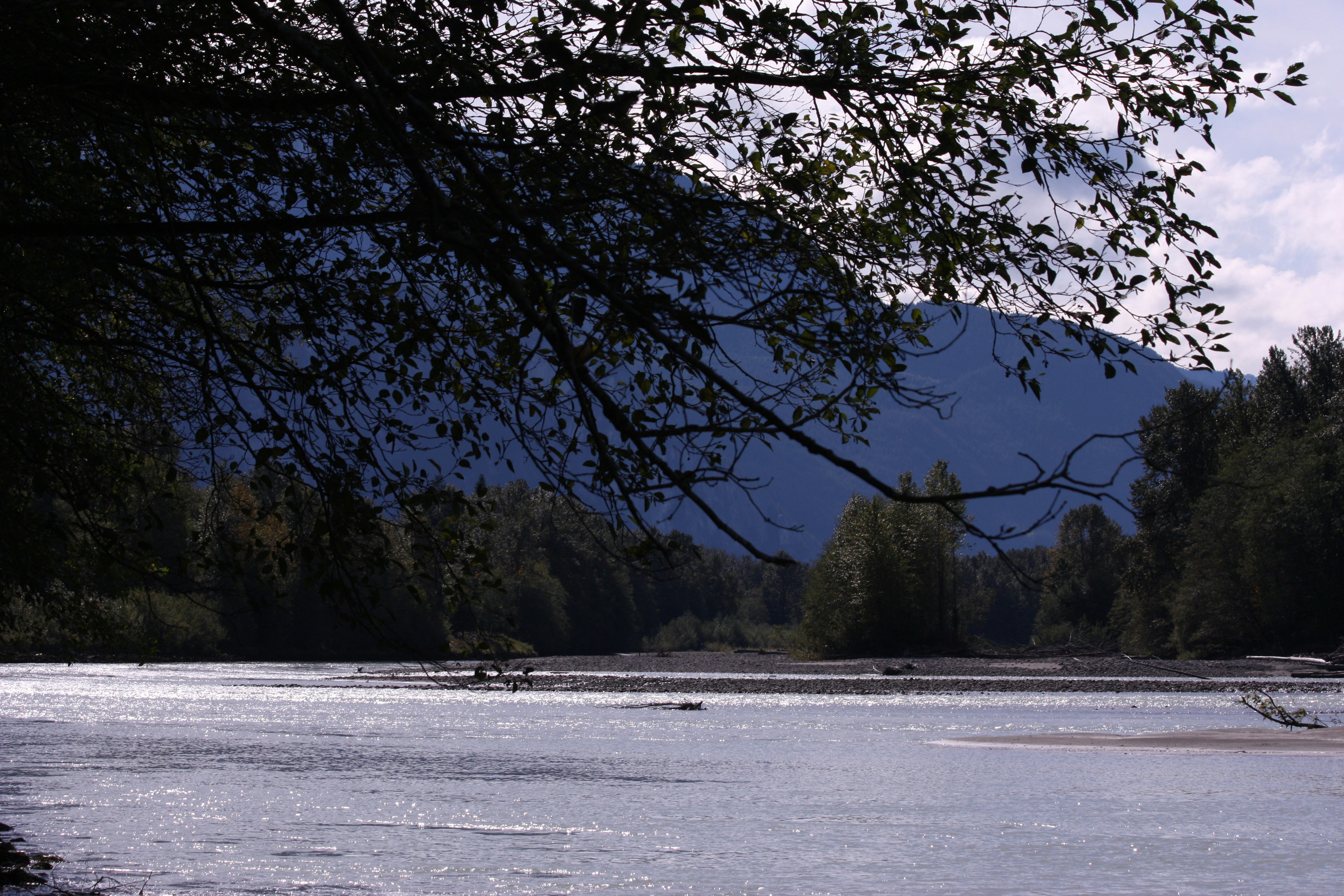 a body of water surrounded by trees and mountains, 