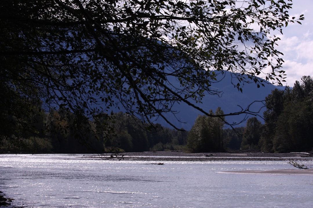 a body of water surrounded by trees and mountains,