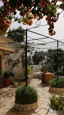 A charming garden patio with stone flooring is adorned with lush greenery and hanging flowers. Various potted plants and shrubs are arranged around the area, and a simple trellis provides structure for climbing plants. The ambiance is peaceful, with soft natural light enhancing the overall warmth of the setting.