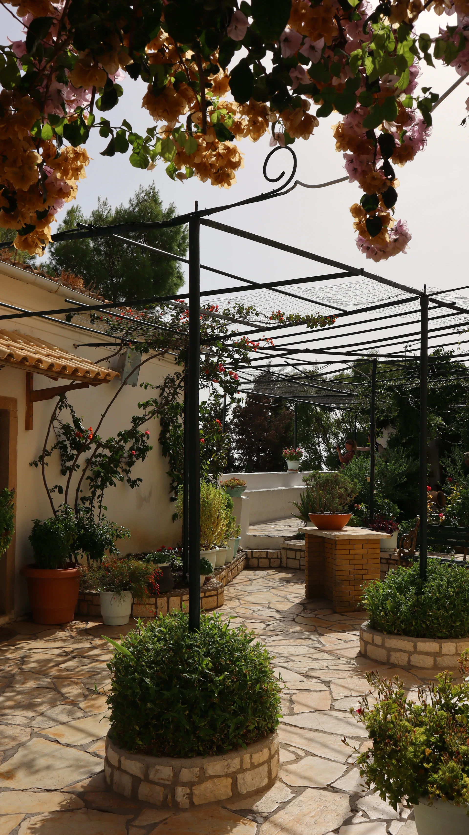 Gardens, Patios & Driveways