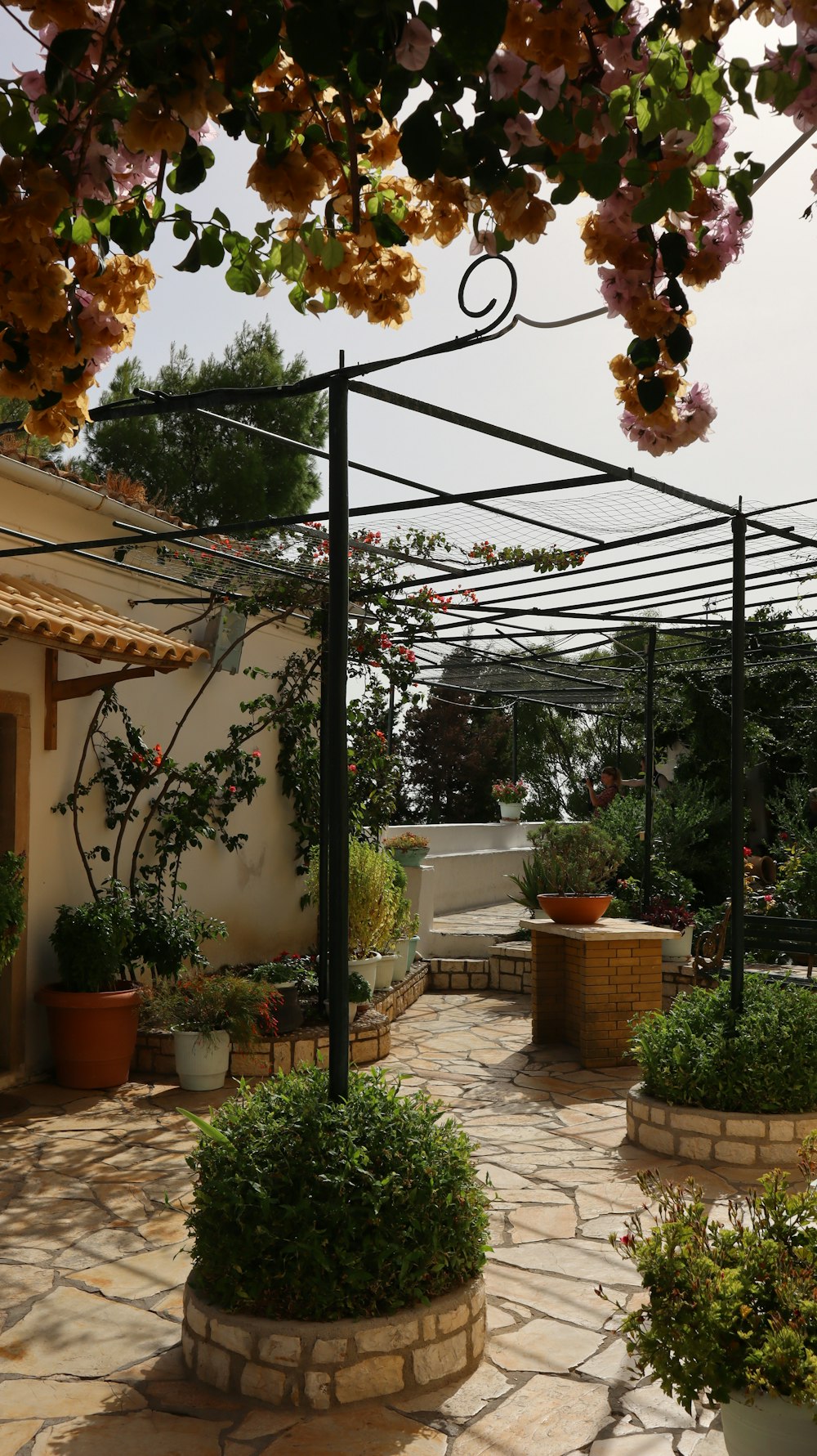 a patio with a stone walkway and potted plants