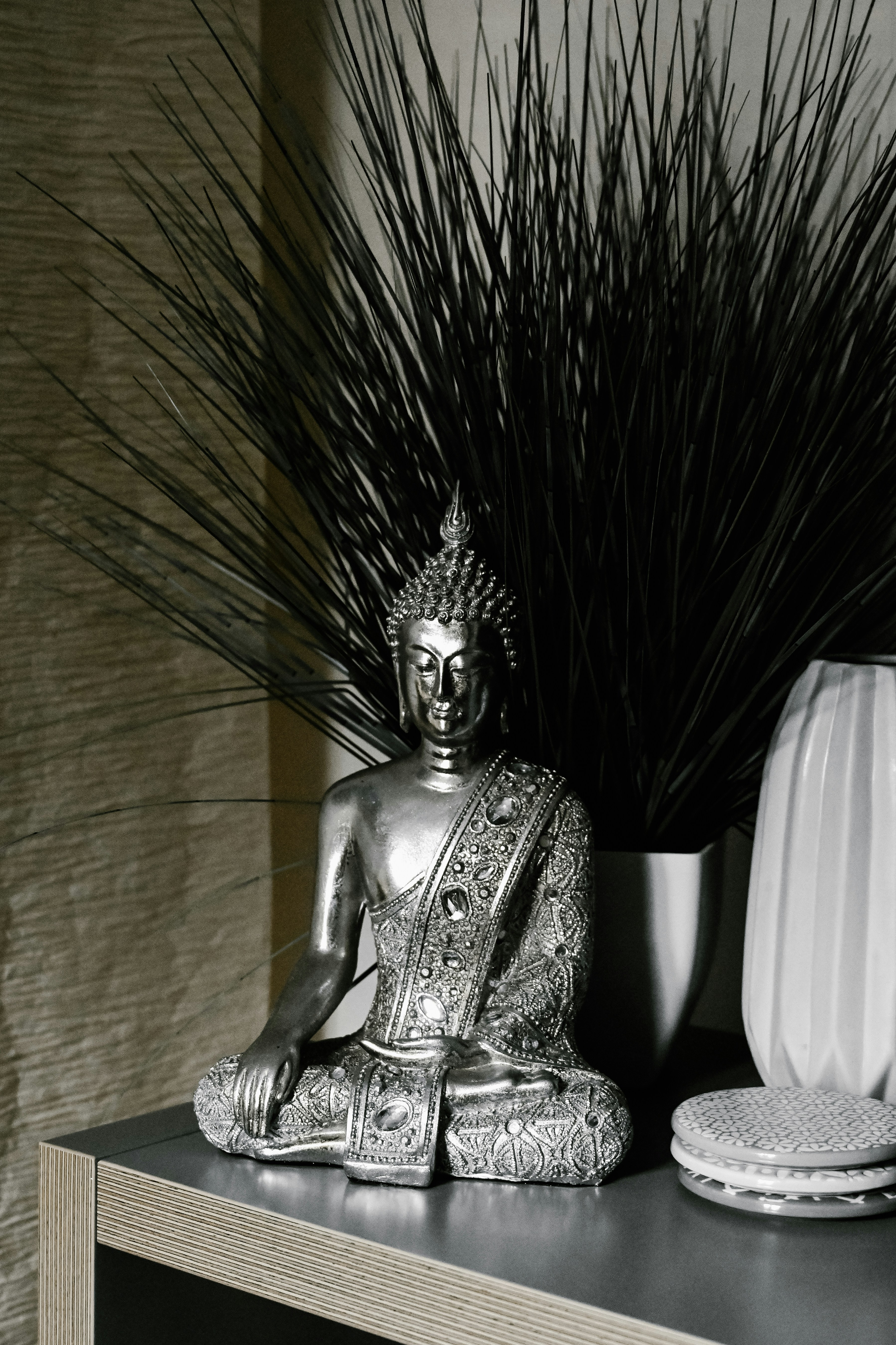 Understanding Depression and Activity in Women with MS