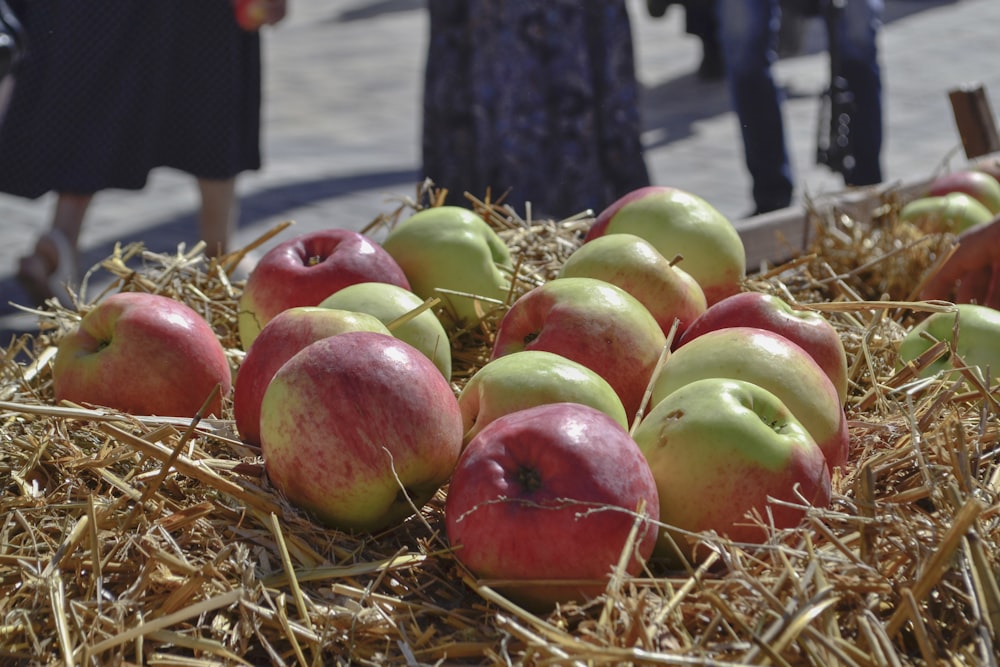 a pile of apples sitting on top of hay