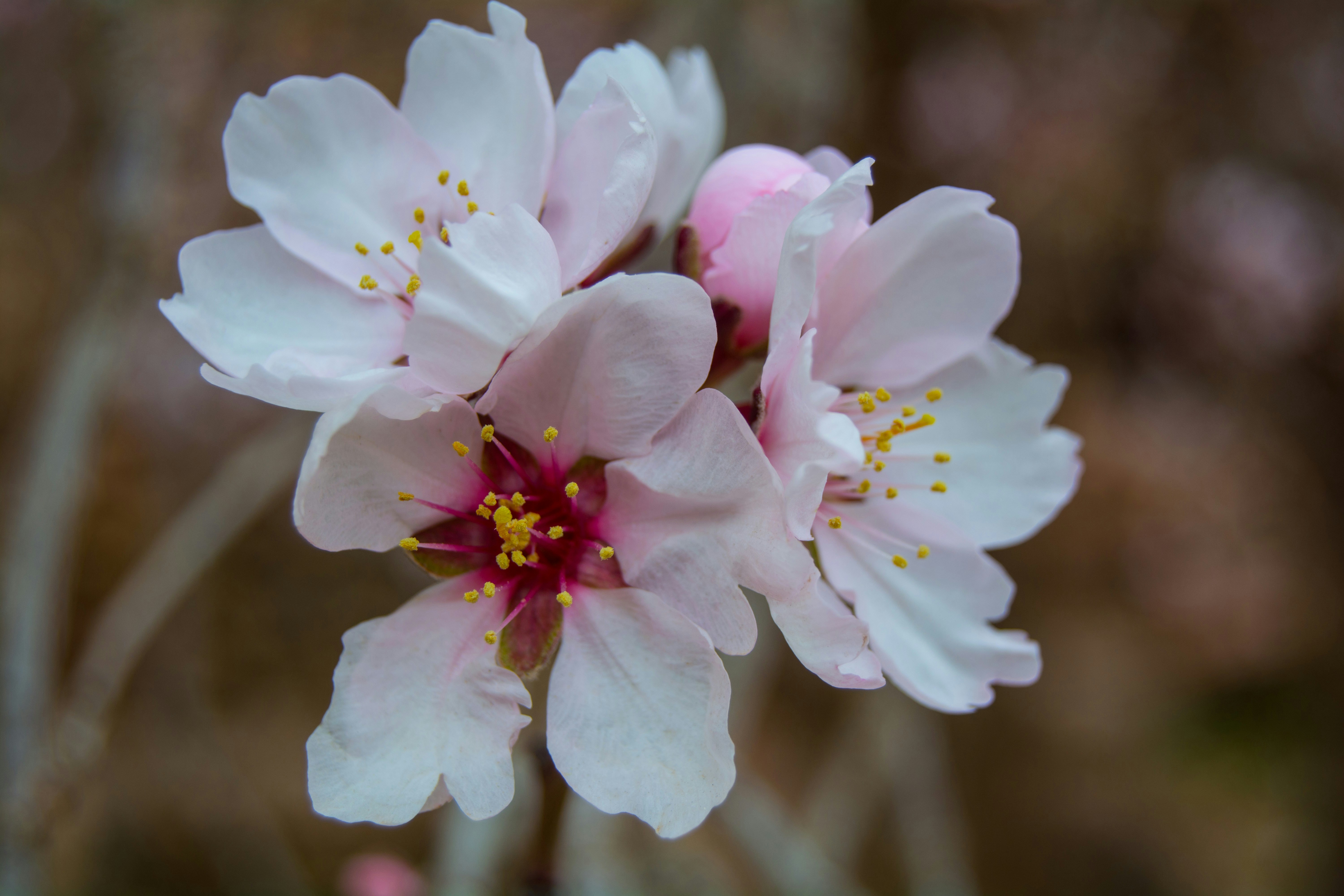 Photo by sameh_from_egypt