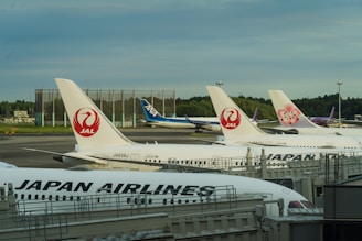 Several airplanes are parked at an airport terminal. The planes are mostly from Japan Airlines, with prominent branding visible on the wings and fuselage. The scene suggests an airfield with green trees in the background and the presence of runway infrastructure.