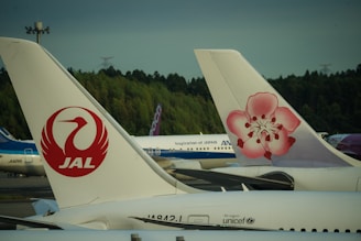 Two airplane tails are prominently seen with logos of Japan Airlines and another airline featuring a pink flower design. The background shows more airplanes lined up and a forested area.