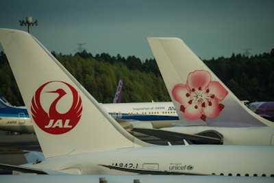 Two airplane tails are prominently seen with logos of Japan Airlines and another airline featuring a pink flower design. The background shows more airplanes lined up and a forested area.