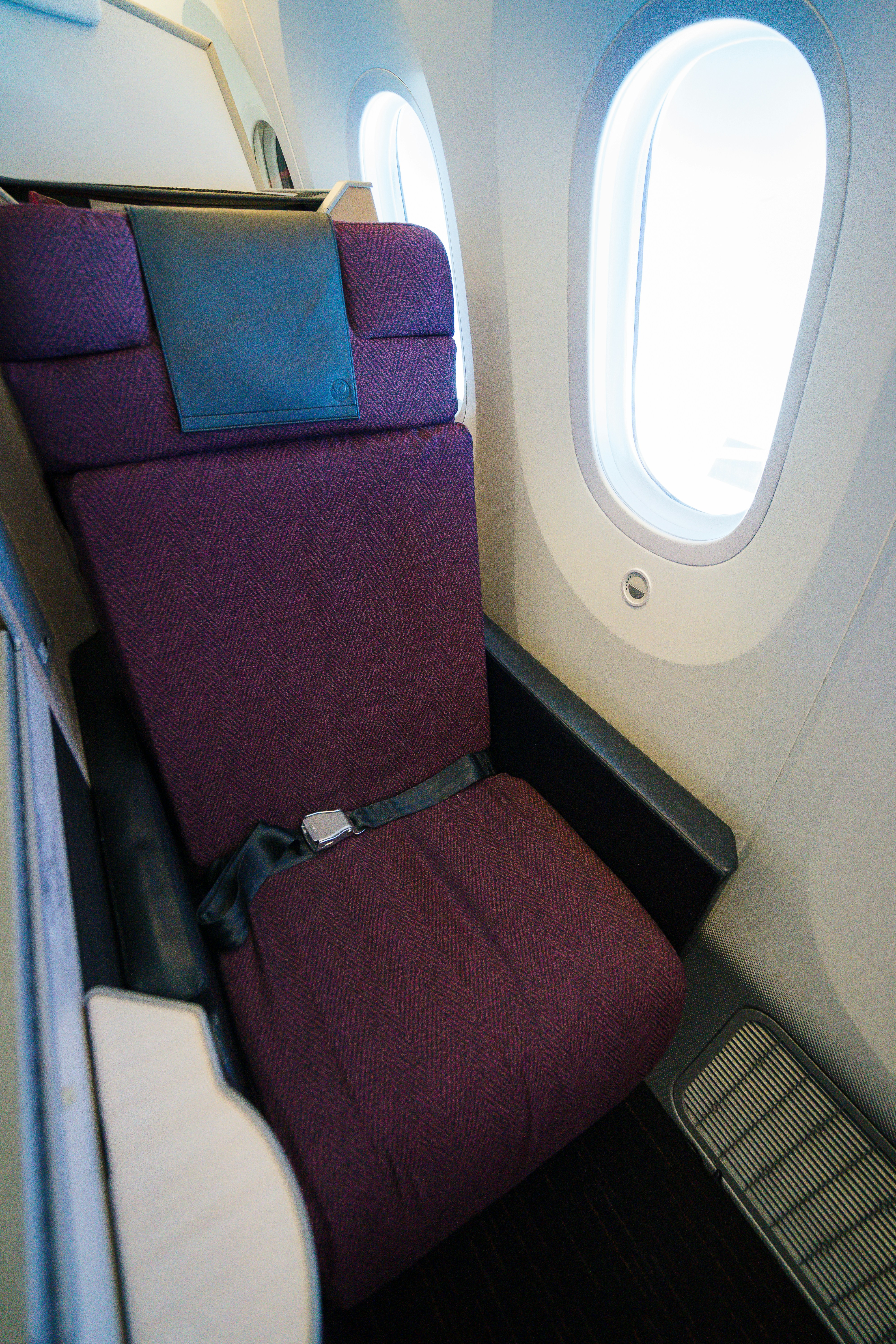 A comfortable airplane seat in the economy class.