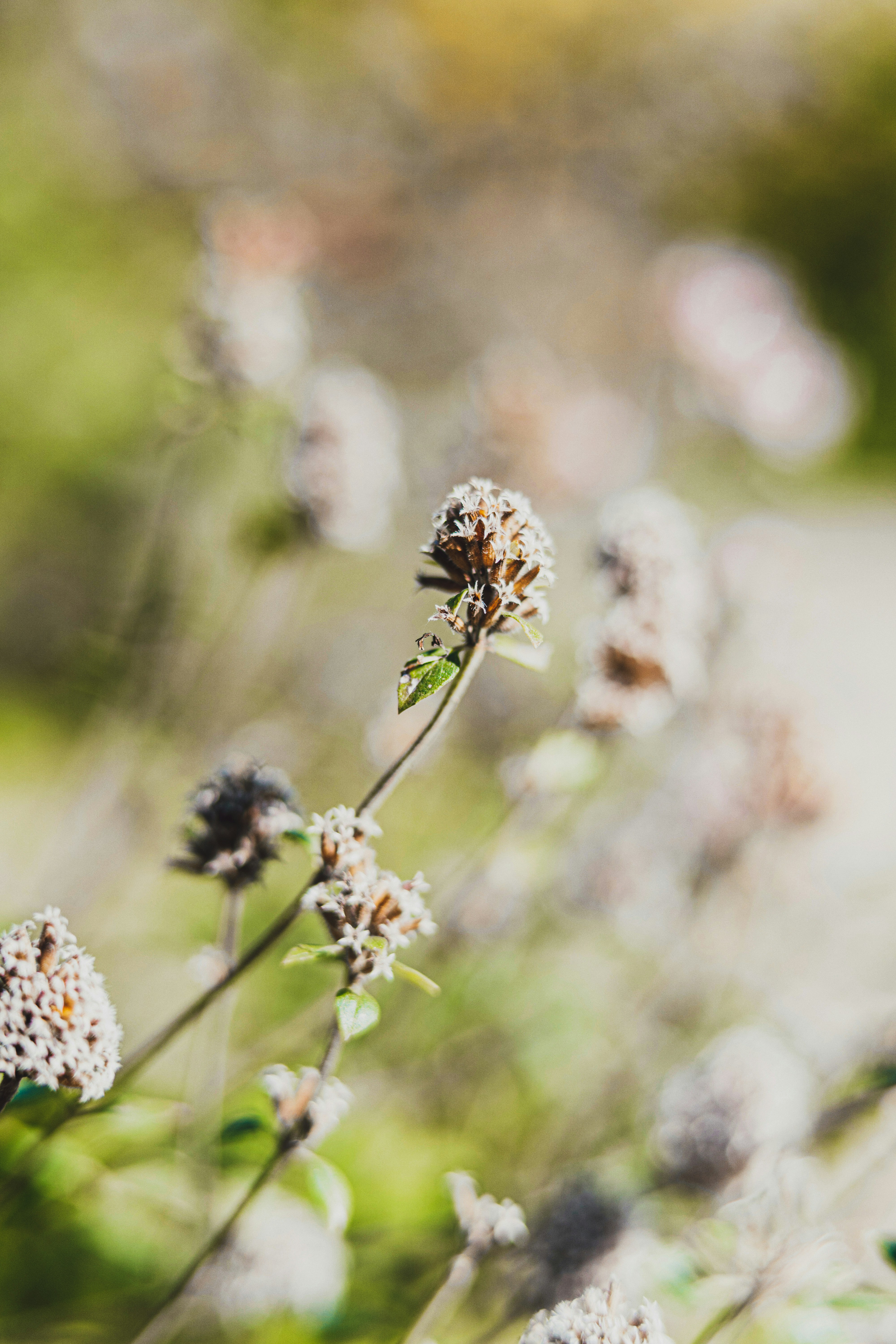 Photo by anamnesis33