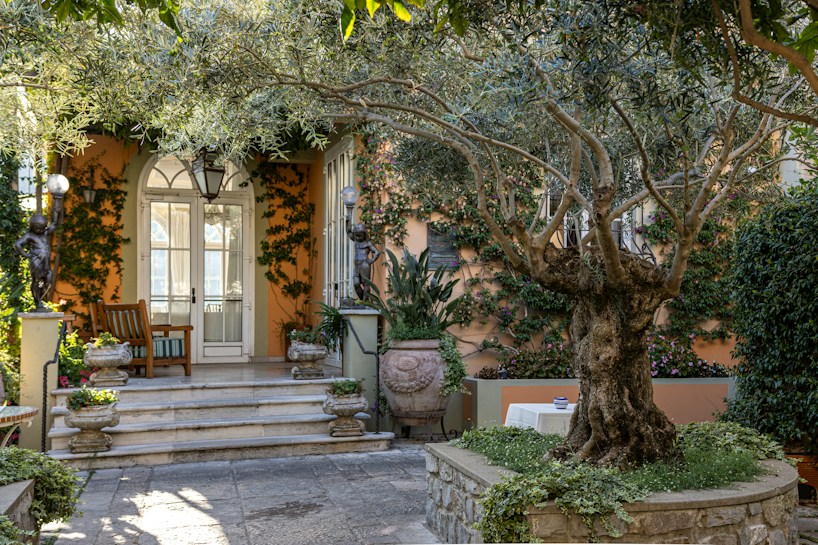 A charming garden entrance with a large, gnarled olive tree in the foreground surrounded by vibrant green plants. The building background features an arched doorway with glass windows. Statues and potted plants adorn the stairs leading up to the door, with ivy climbing the walls, creating a lush, inviting atmosphere.