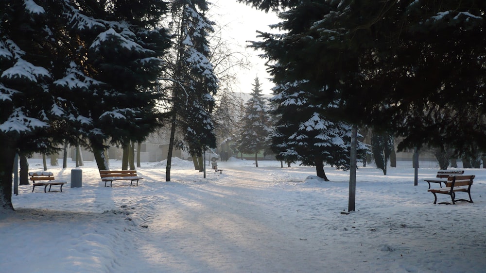 a snow covered park with benches and trees