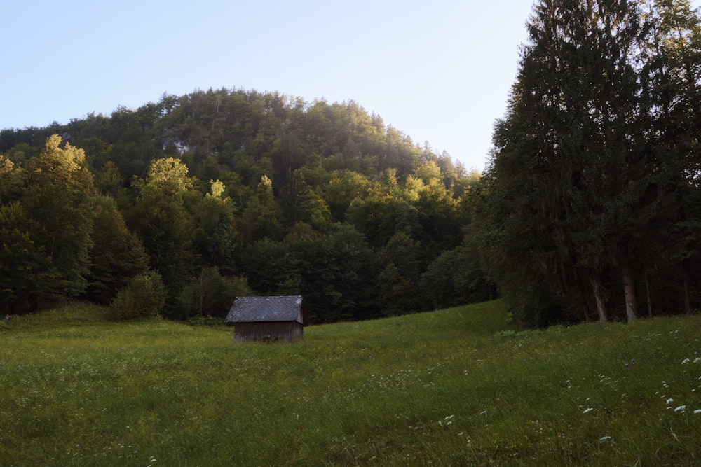 a small house in a field with trees in the background