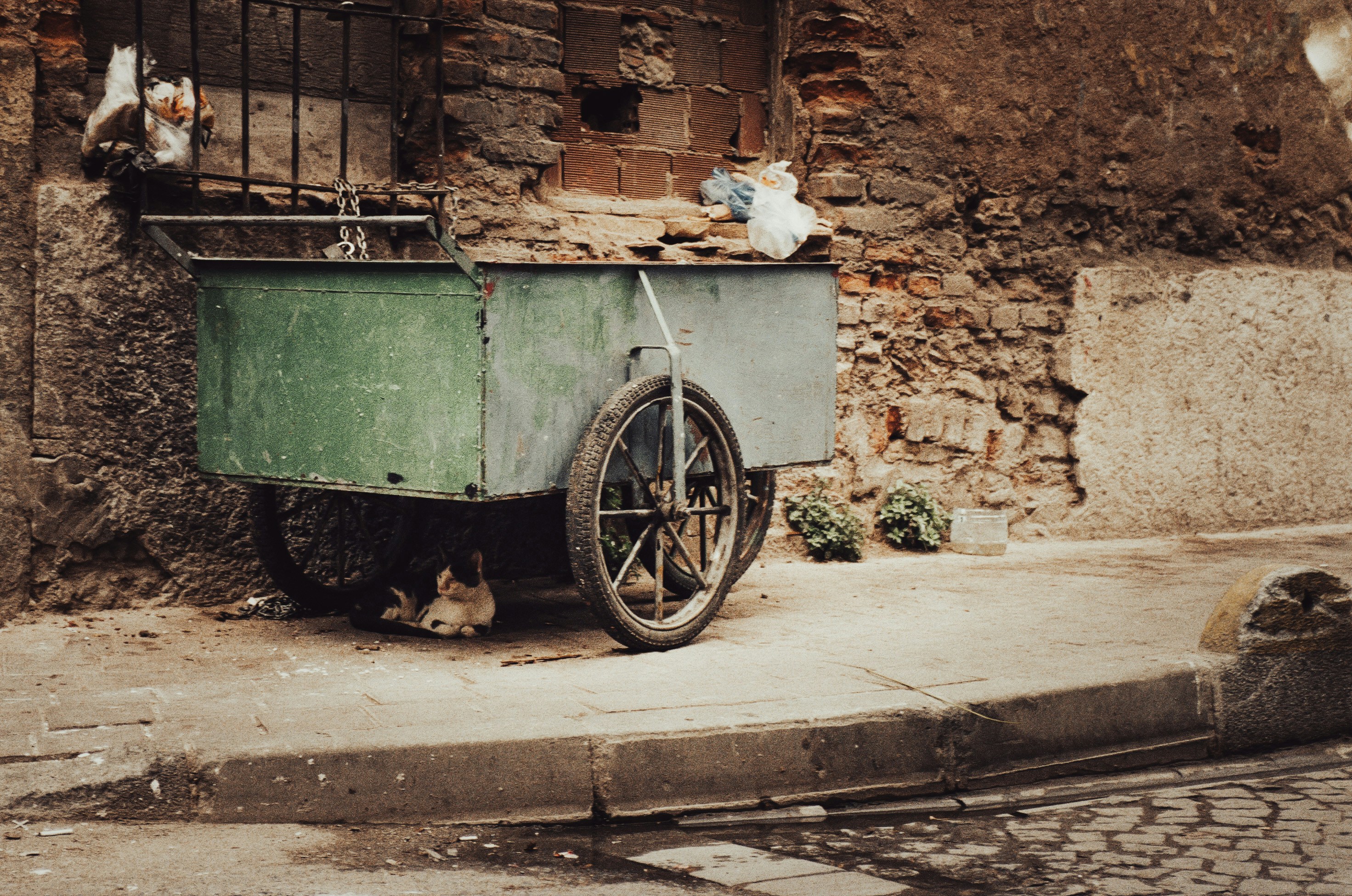 Photo by stachmann