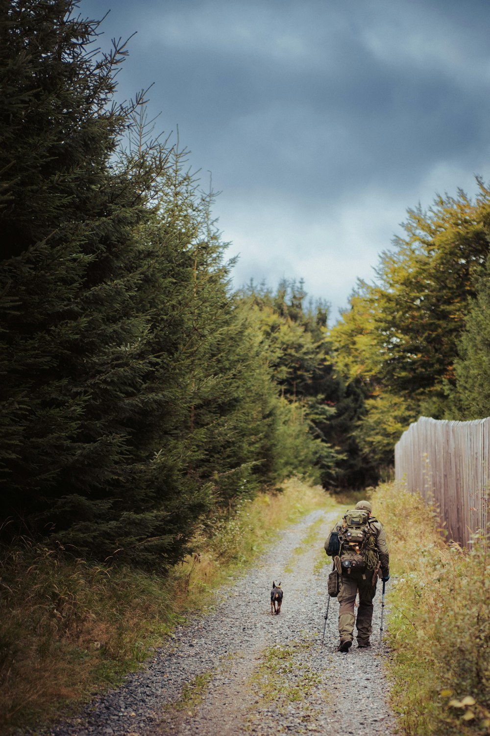 Un hombre y un perro caminando por un camino de tierra