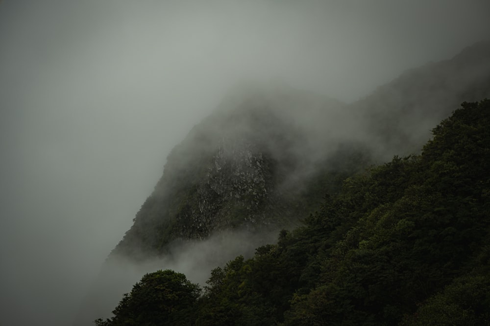 a mountain covered in fog with trees in the foreground