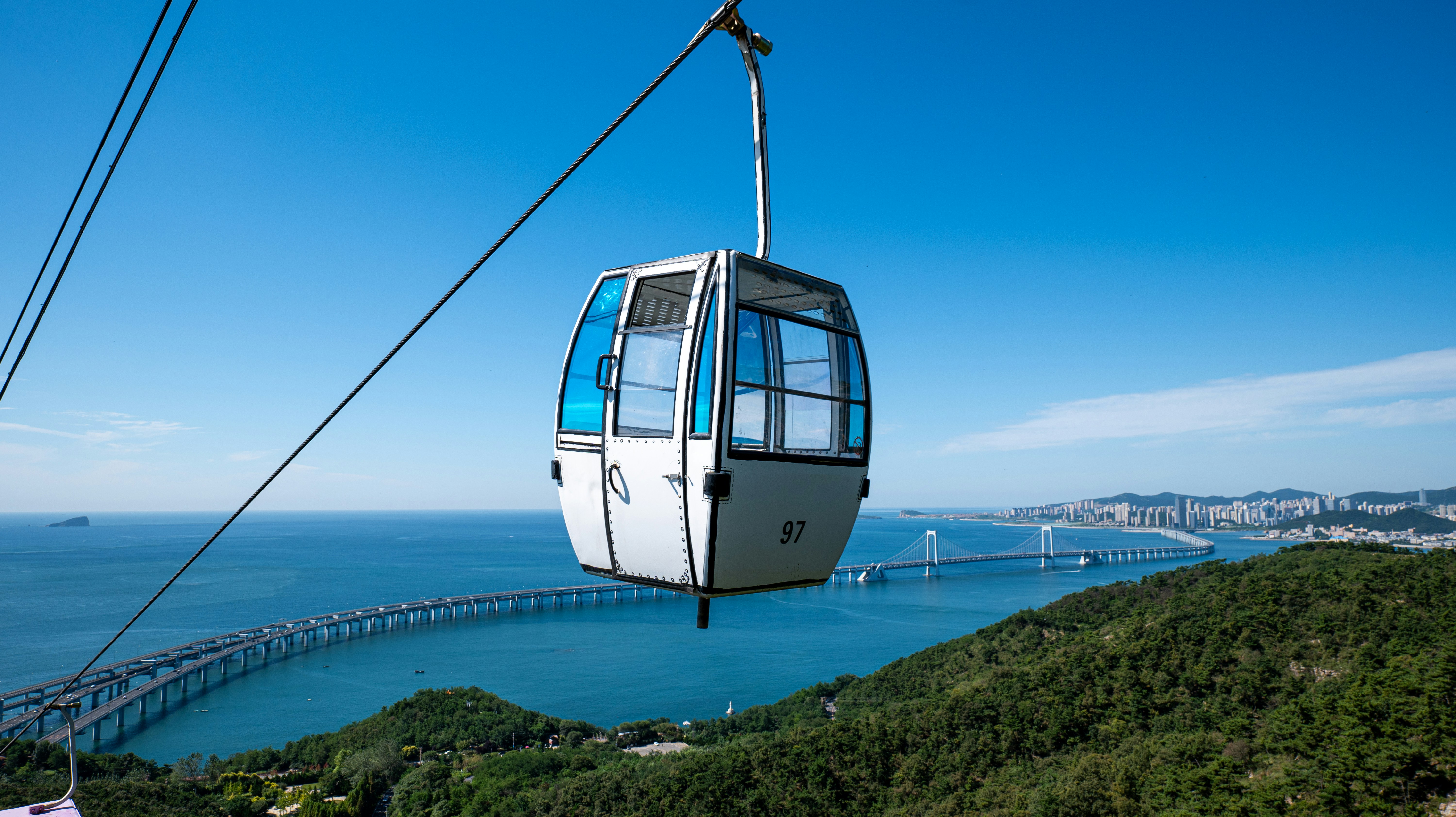 Image by 鱼 鱼 via Unsplash