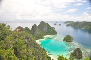 A panoramic view of Indonesia's diverse islands and vibrant marine life.