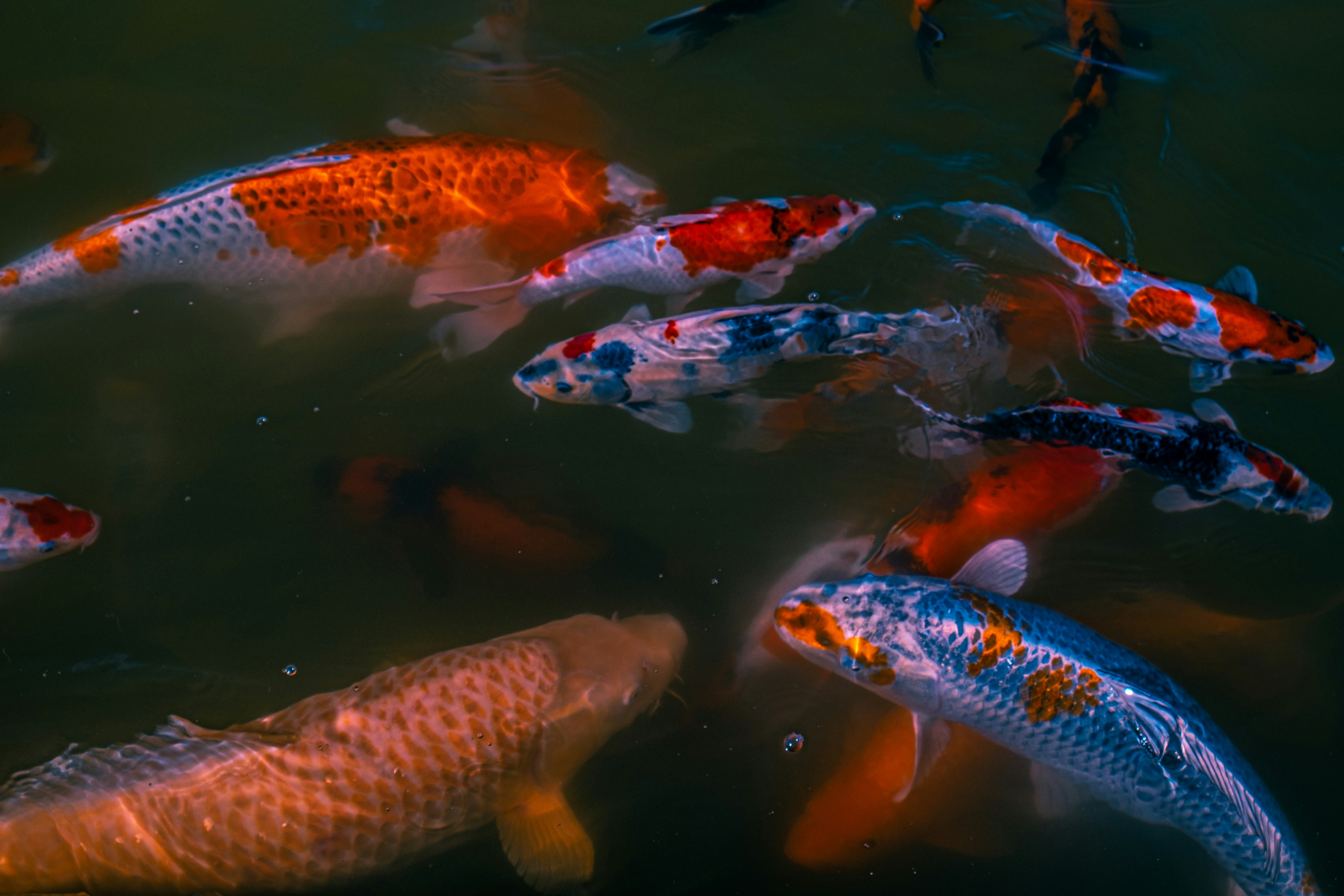 Photo by mo_design_3d