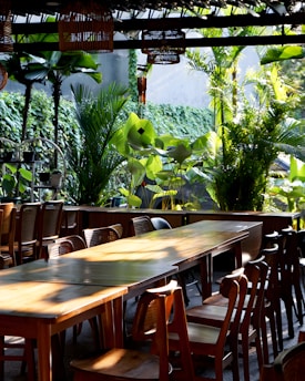 A group of people enjoying a sustainable outdoor dining experience surrounded by tropical dry forest.