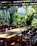 A sunlit outdoor pavilion with diners enjoying meals surrounded by lush greenery.