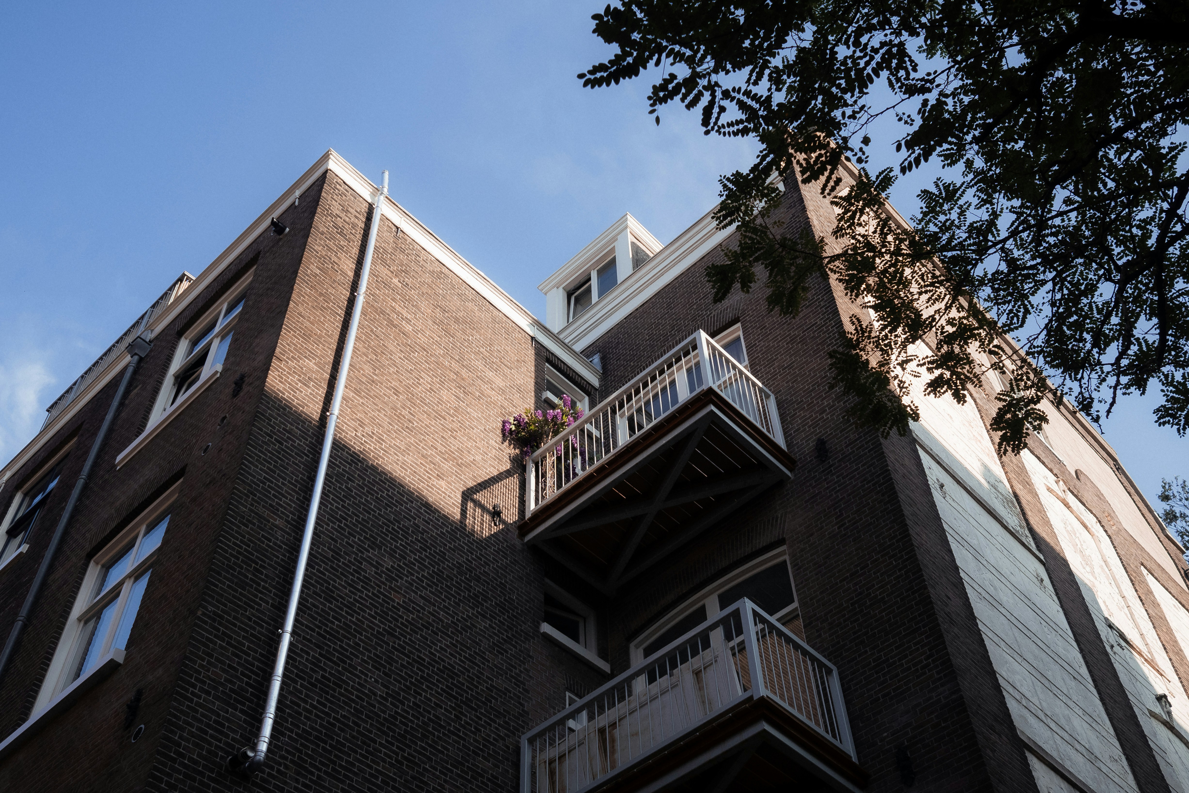 Photo by sirisvisual