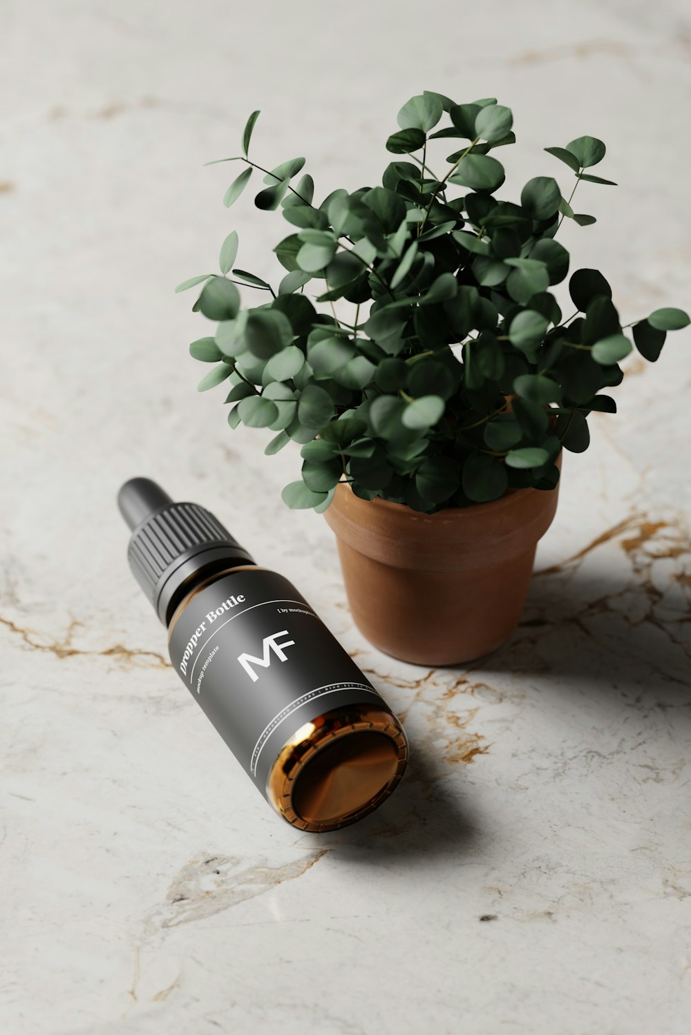 a small potted plant sitting next to a bottle of perfume