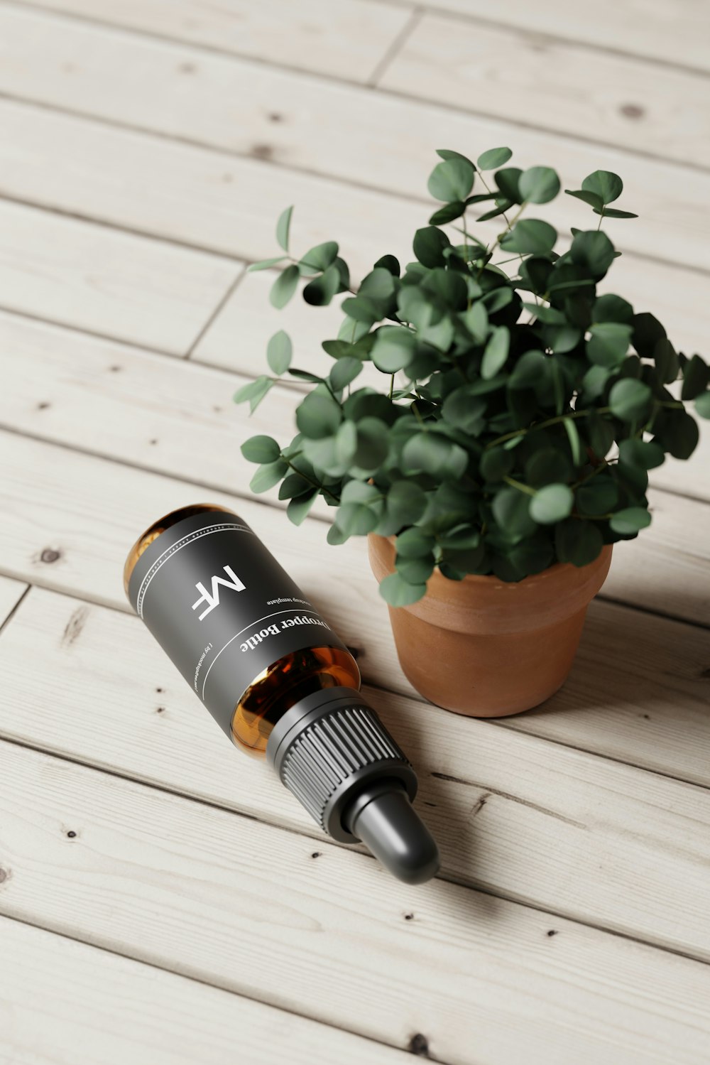 a bottle of essential oils next to a potted plant